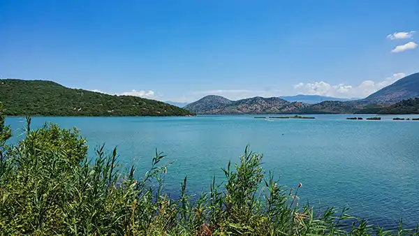 Ancient ruins surrounded by greenery at Butrint National Park, Albania